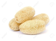 Cream Luffa Seeds