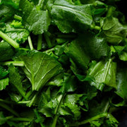 Turnip Greens Seeds