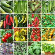 Vegetable Garden Starter Pack Kit