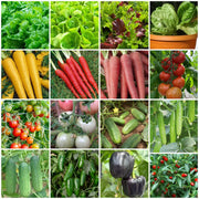 Vegetable Starter Gardens Kit