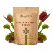 Venus Fly Trap Seeds – Dionaea muscipula