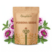 Verbena Seeds – Verbena × hybrida
