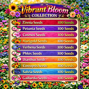 Vibrant Bloom Collection Seeds