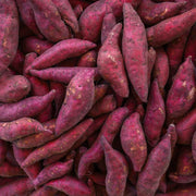 Vine Cuttings Sweet Potato Seeds - Vegetable Plant