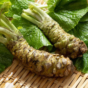 Wasabi Seeds