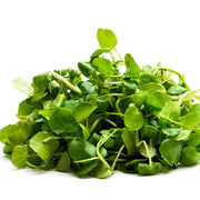 Watercress Seeds - Herbal Plant For Home Gardens Seeds