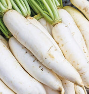 Waterline Radish Seeds