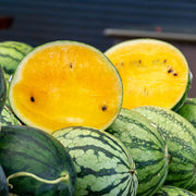 Yellow Watermelon Seeds