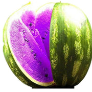 Purple Watermelon Seeds