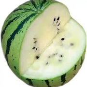 White Watermelon Seeds