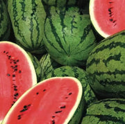Crimson Sweet Watermelon Seeds