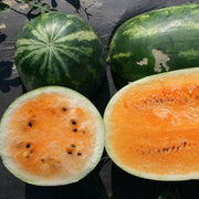 Orange Watermelon Seeds