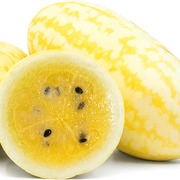 Gold in Gold Watermelon Seeds