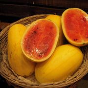 Golden Pioneer Hybrid Watermelon Seeds