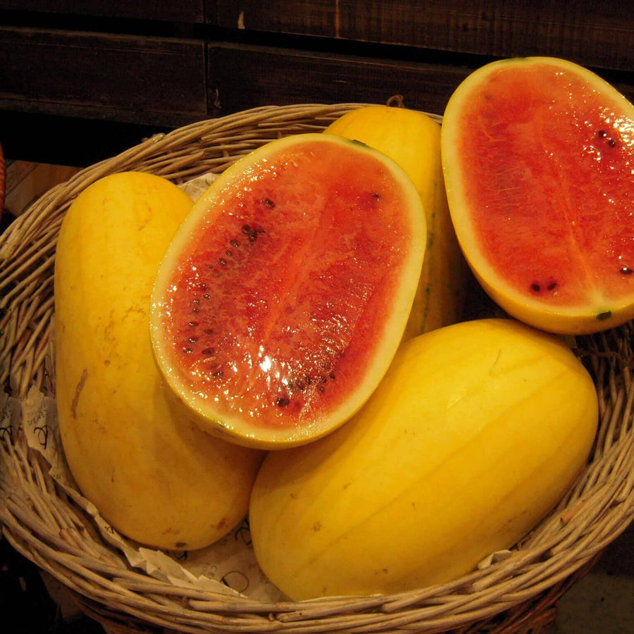 Golden Pioneer Hybrid Watermelon Seeds