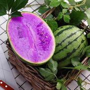Purple Watermelon Seeds