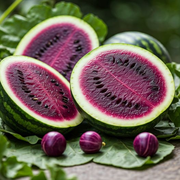 Rare Purple Flesh Watermelon Seeds