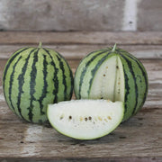 White Watermelon Seeds