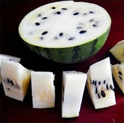 White Watermelon Seeds