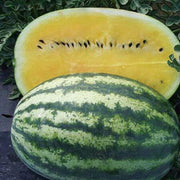 Yellow Organic Watermelon Seeds