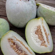 Winter Melon Wax Gourd Seeds