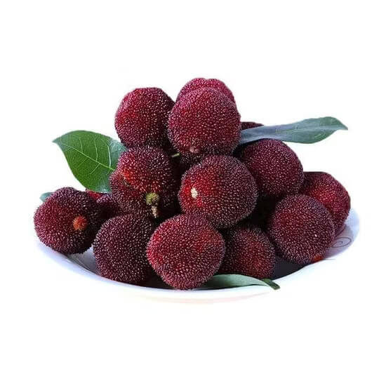 Waxberry Berry Seeds