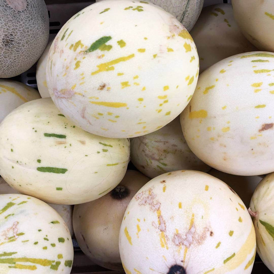 White Leopard Melon Seeds