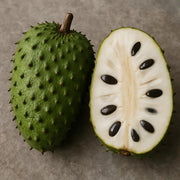 White Pulp Soursop Seeds - Fruit Plant