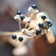 Wild Leek Seeds, Herbal