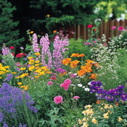 Deer Resistant Mix Wildflower Seeds
