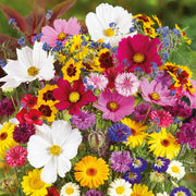 Mix Wildflower Seeds
