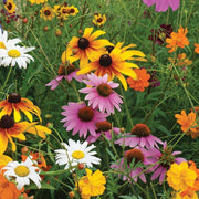 Meadow Heirloom Mix Wildflower Seeds