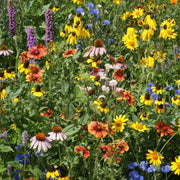 Midwest Mix Wildflower Seeds