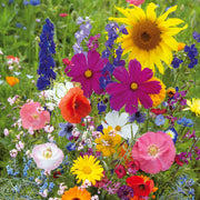 Wildflower Mix Seeds - Assorted Seeds