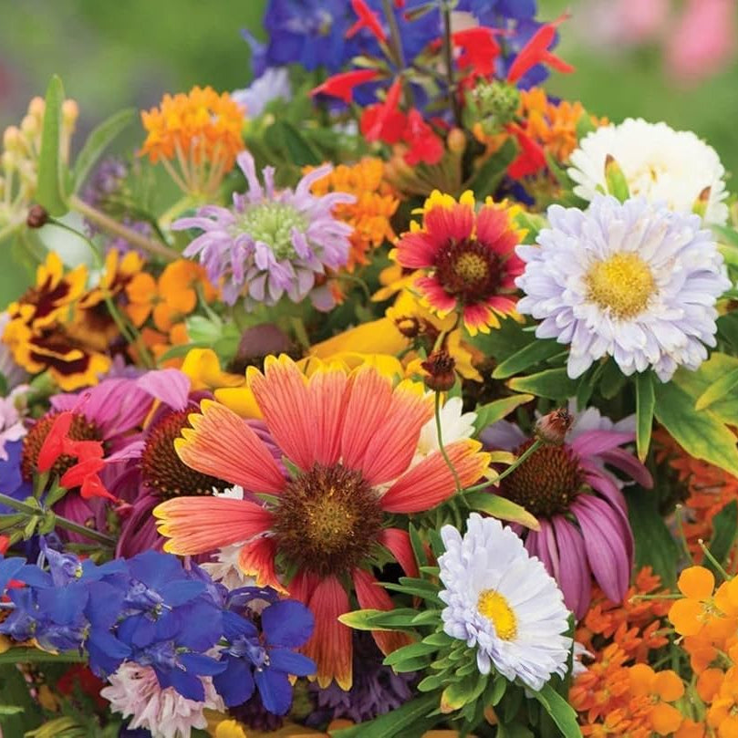 Mix Wildflower Seeds