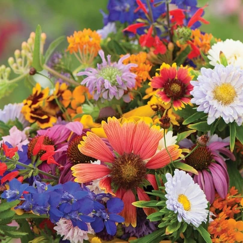 All In One Bouquet Mix Wildflower Seeds
