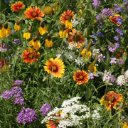 Deer Proof Wildflower Seeds