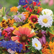 Heirloom Mix Wildflower Seeds