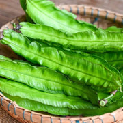 Green Winged Bean Seeds