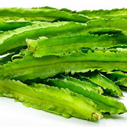 Tropical Winged Bean Seeds
