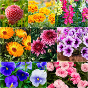 Blend Winter Mix Seeds