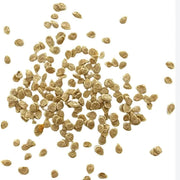 Yellow Dixie Golden Giant Tomato Seeds
