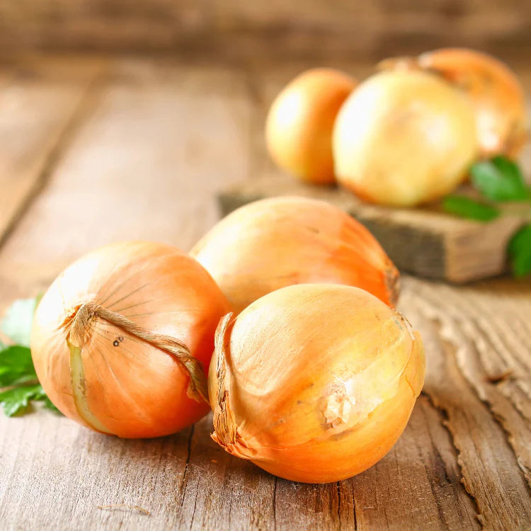 Yellow Onion Seeds