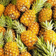 Yellow Pineapple Seeds