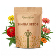 Zinnia Seeds – Zinnia elegans