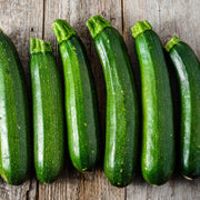 Dark Green Zucchini Seeds