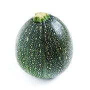 Round Zucchini Seeds