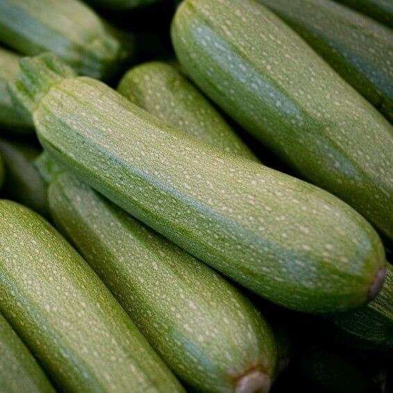Gray Zucchini Seeds