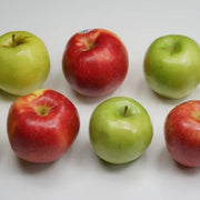 Mixed Apple Seeds