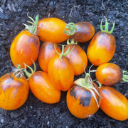 Dark Orange Tomato Seeds